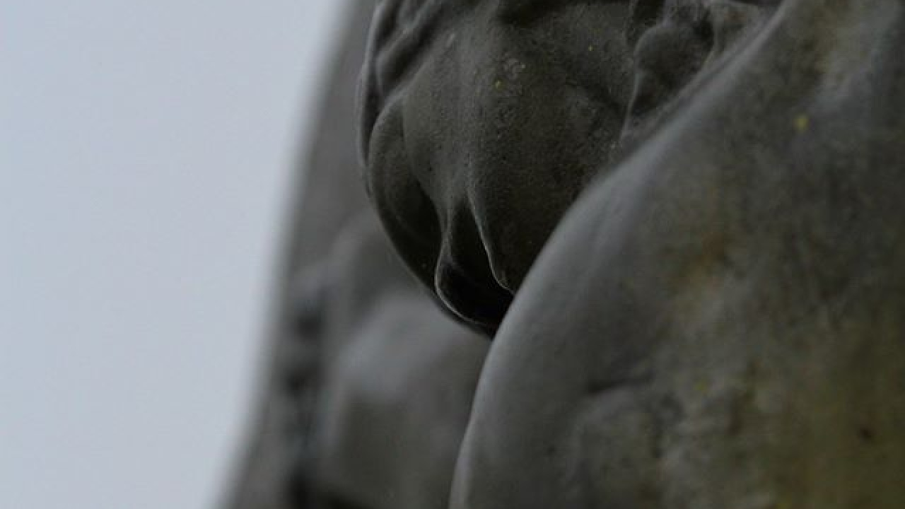 Fotografia fotogalérie Jasenovce